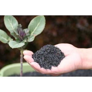 もみがら燻炭 もみがらくんたん １００リットル入 新作揃え １００リットル入