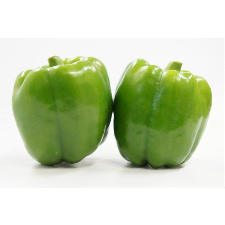 肉厚旨甘ピーマン 9cmポット苗 2本セット ４月中旬 5月上旬発送分予約 Pfna 日光種苗ヤフー店 通販 Yahoo ショッピング