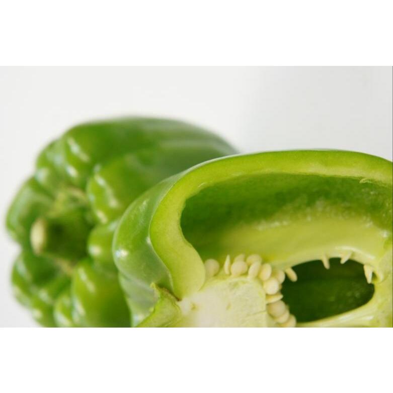 肉厚旨甘ピーマン 9cmポット苗 2本セット ４月中旬 5月上旬発送分予約 Pfna 日光種苗ヤフー店 通販 Yahoo ショッピング