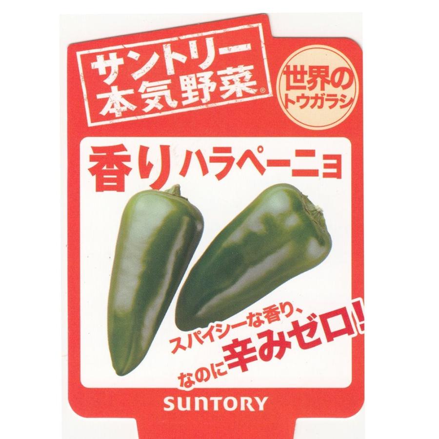 サントリー本気野菜 とうがらし 香りハラペーニョ 9cmポット苗 2本セット ４月中旬 5月上旬発送分予約 Pfpp 日光種苗ヤフー店 通販 Yahoo ショッピング