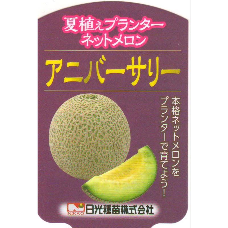 夏植えメロンの苗 アニバーサリー」（ネットメロン）9cmポット