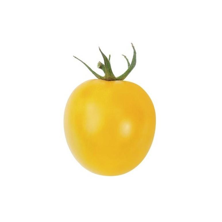 サントリー本気野菜 ミニトマト ハニーイエロー 9cmポット苗 2本セット ４月中旬 5月上旬発送分予約 Pftm 日光種苗ヤフー店 通販 Yahoo ショッピング