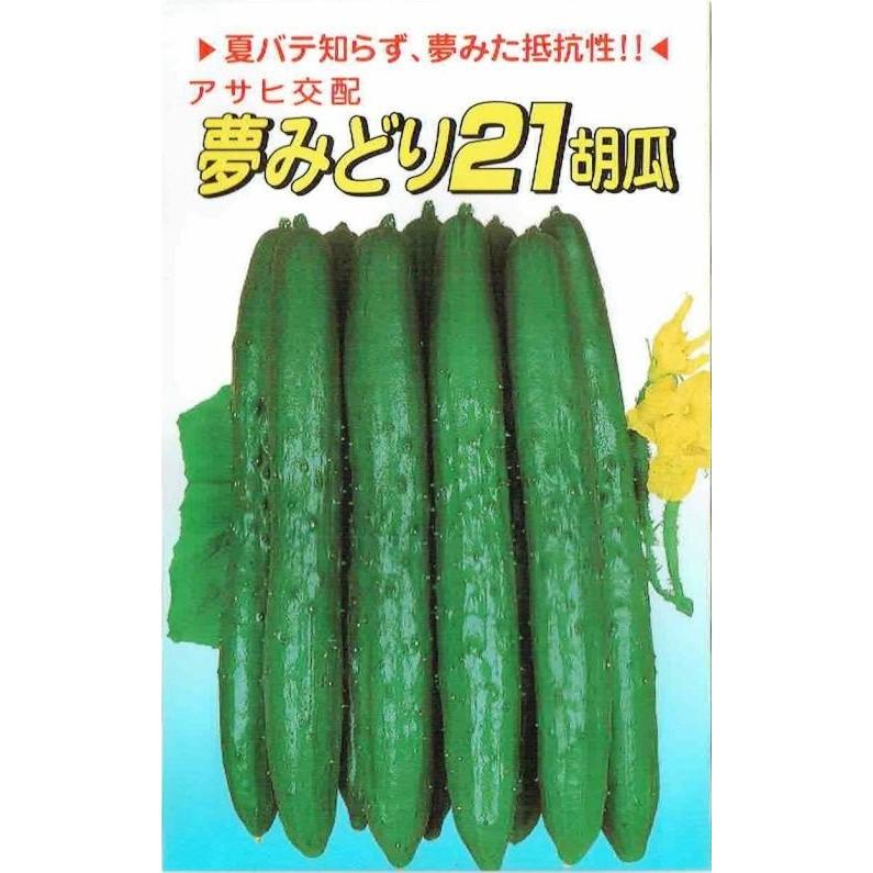 アサヒ農園 キュウリ 夢みどり21のタネ [内容量：1.3ml] : 日光種苗
