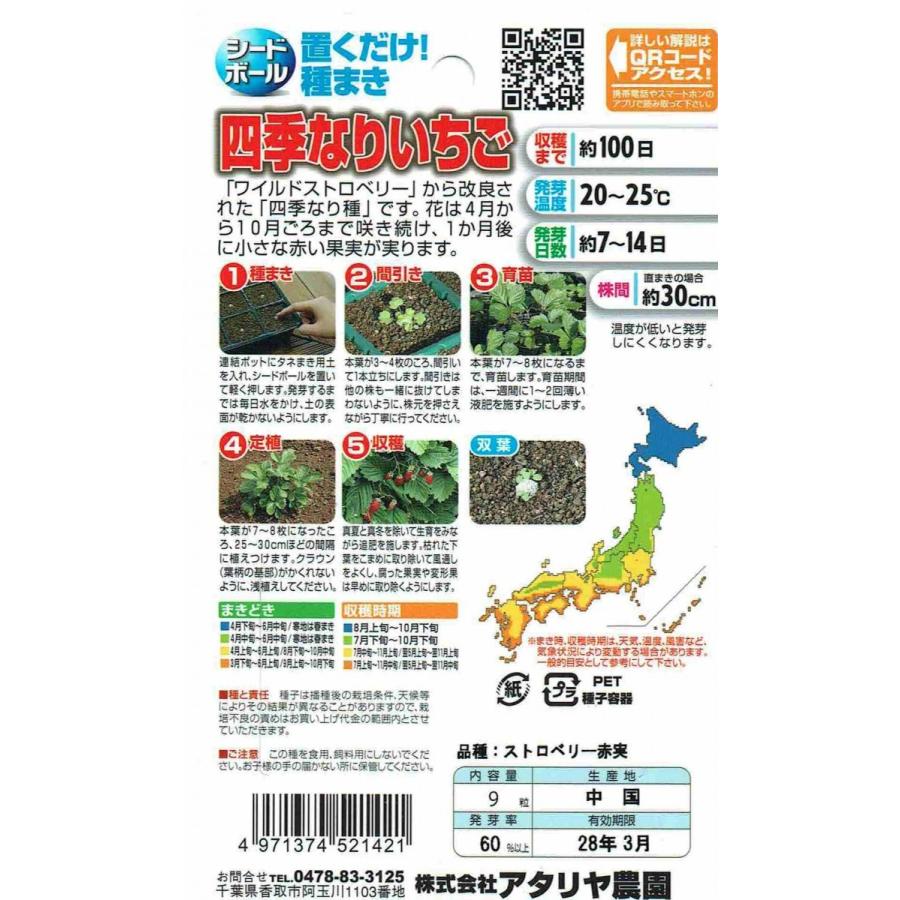 セール価格 アタリヤ農園 シードボール べじたま 四季なりいちご Aynaelda Com