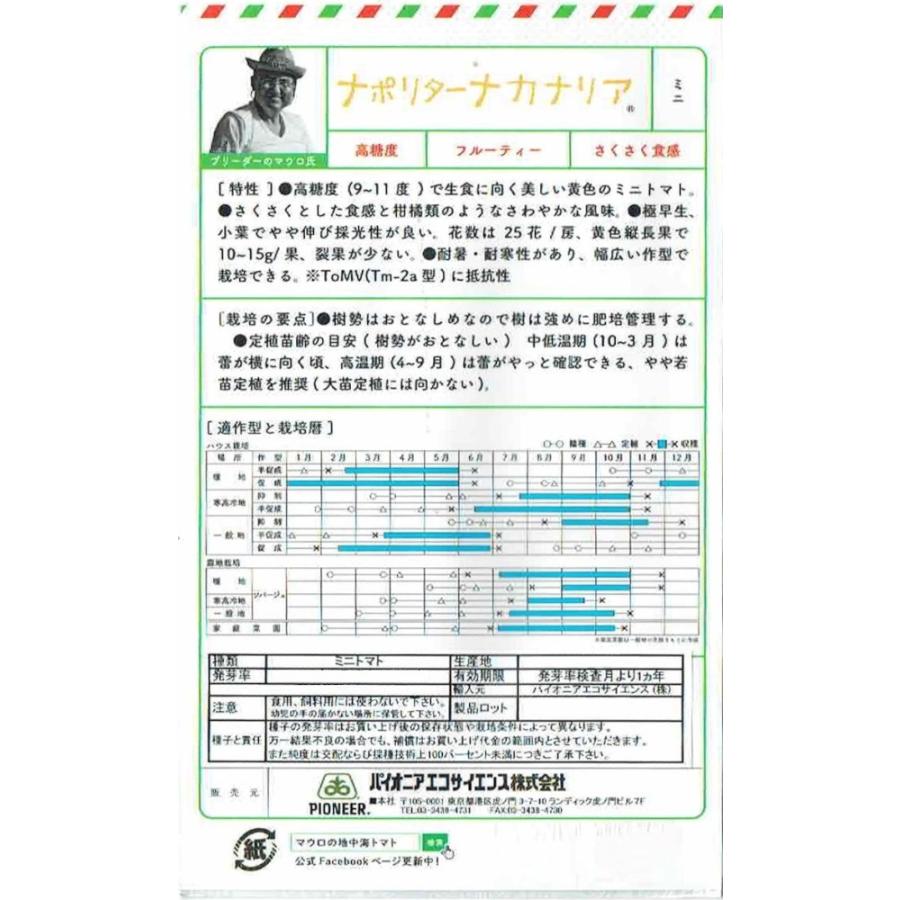 マウロの地中海トマト ミニトマト ナポリターナカナリア 約8粒 誕生日プレゼント