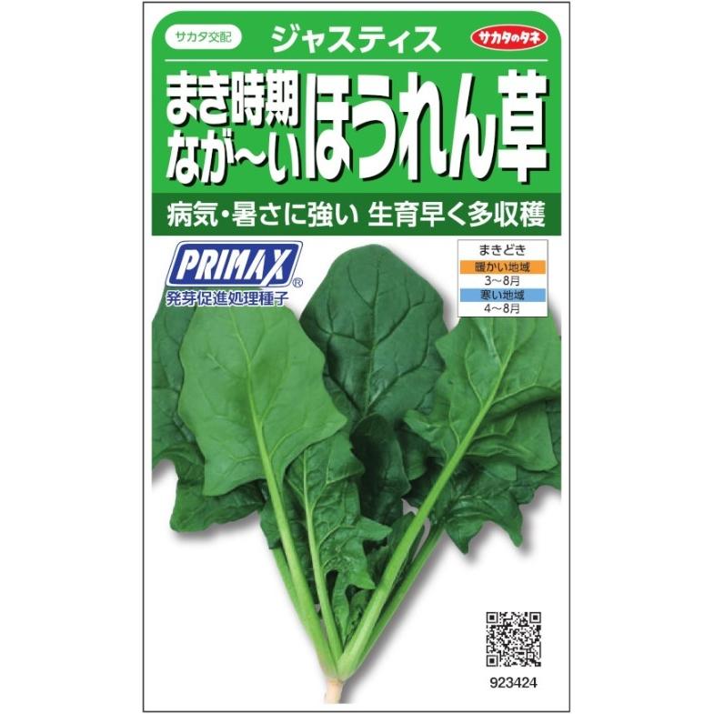 サカタのタネ　まき時期なが〜いほうれん草　ジャスティス　30ml　（ホウレンソウ）｜nikkoseed2012