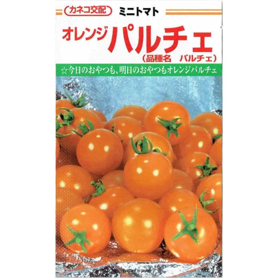 カネコ種苗 ミニトマト 人気激安 オレンジパルチェ 約19粒 超特価 のタネ