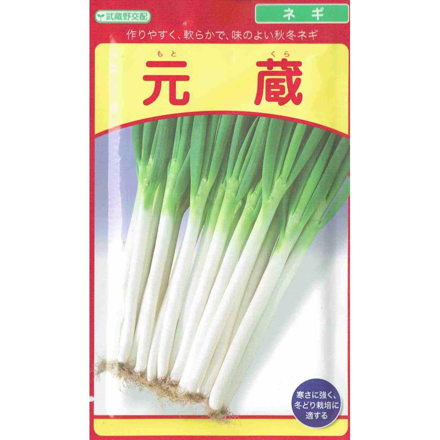 武蔵野種苗園 ネギ 元蔵（もとくら） 6ml 【郵送対応】 : 日光種苗