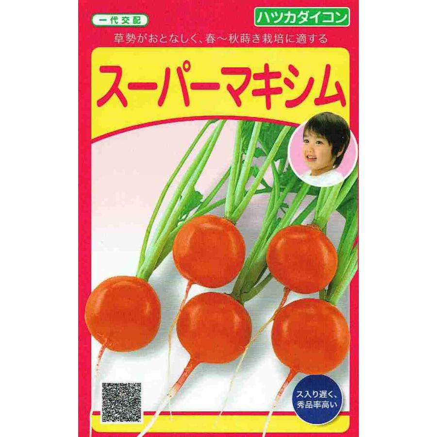 武蔵野種苗園 ラディッシュ 日大根 スーパーマキシム 5ml Sms1461 日光種苗ヤフー店 通販 Yahoo ショッピング
