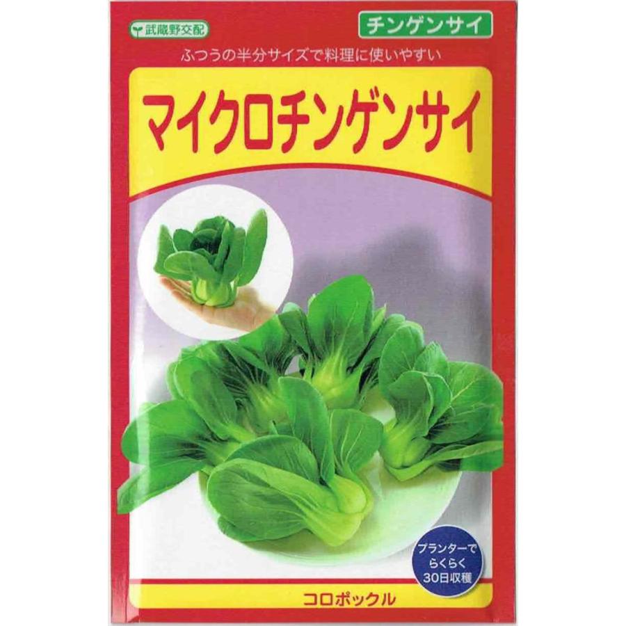 武蔵野種苗園 マイクロチンゲンサイ コロポックル のタネ 3ml Sms1591 日光種苗ヤフー店 通販 Yahoo ショッピング