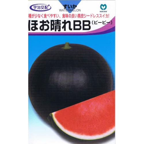 宇治交配 スイカ ほお晴れbb 約100粒 Www Unipymes Com