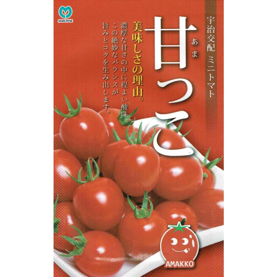 宇治交配 ミニトマト 甘っこ 約粒 Smt 日光種苗ヤフー店 通販 Yahoo ショッピング