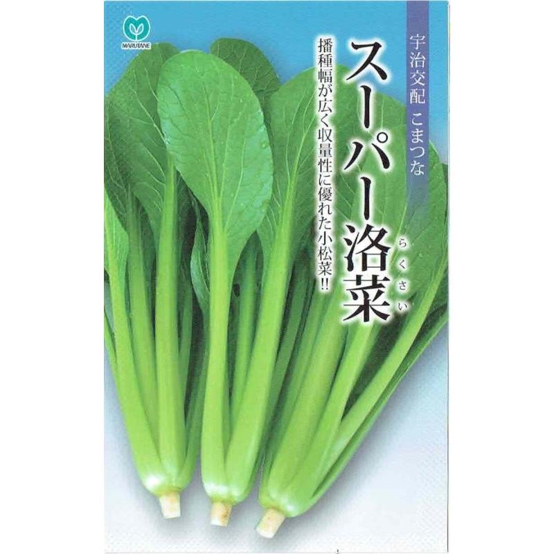 丸種 コマツナ スーパー洛菜 [内容量：5ml] : 日光種苗ヤフー店 - 通販