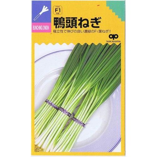 中原採種場 鴨頭ネギ 20ml【郵送対応】 : 日光種苗ヤフー店 - 通販