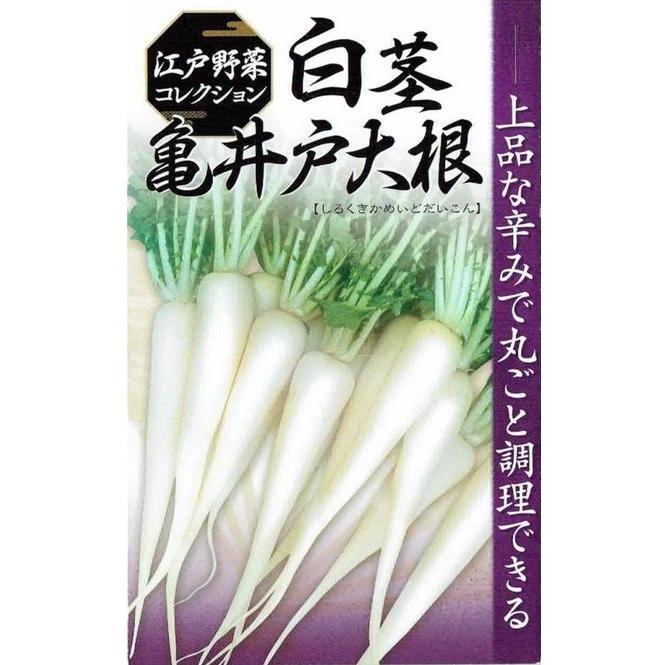 日本農林社 ダイコン 白茎亀井戸大根 10ml【郵送対応】 : 日光種苗