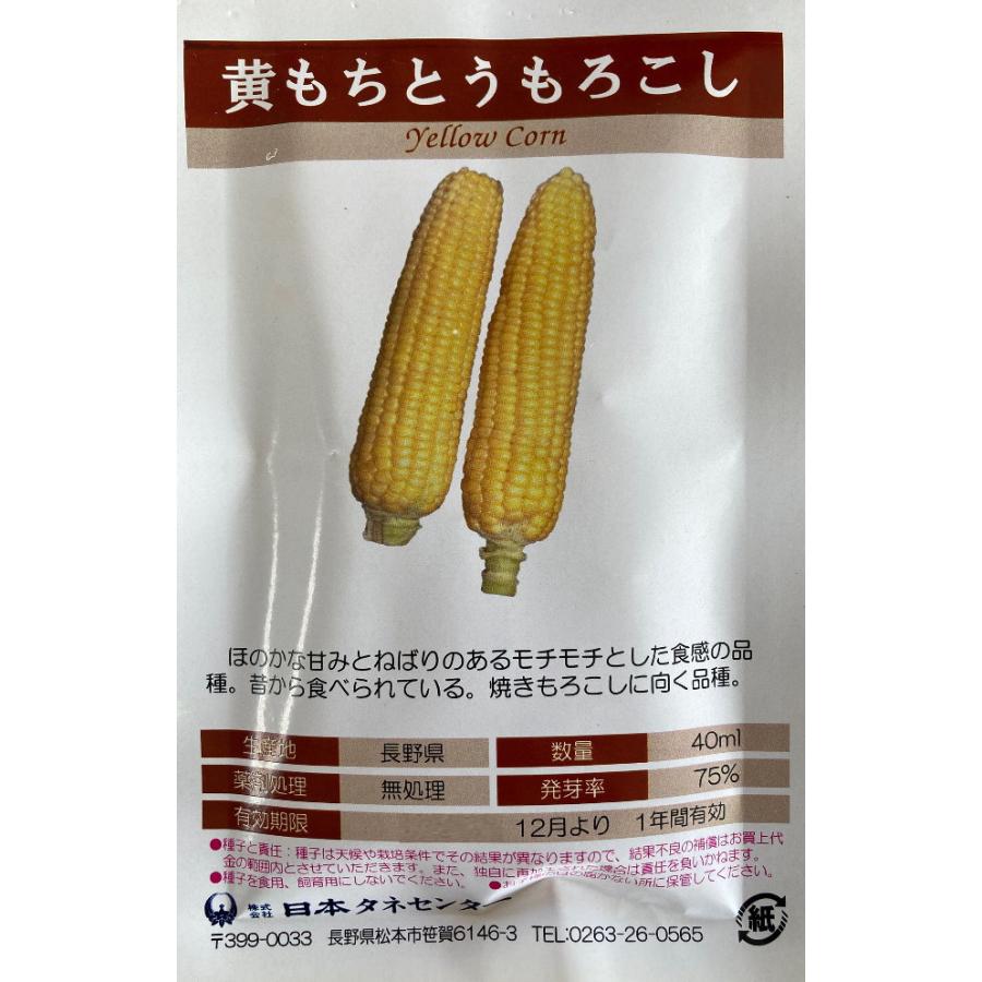 日本タネセンター トウモロコシ 黄もちとうもろこし 40ml Snt 日光種苗ヤフー店 通販 Yahoo ショッピング