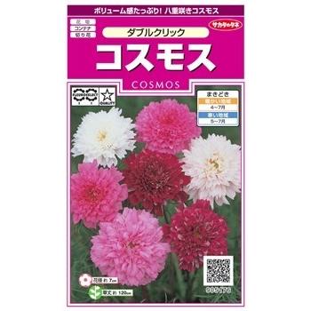 最大10 Offクーポン サカタのタネ コスモス ダブルクリック