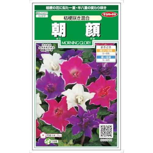 サカタのタネ 朝顔 桔梗咲き混合 Ssk16b0101 日光種苗ヤフー店 通販 Yahoo ショッピング