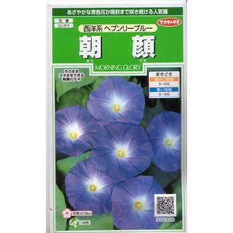 Sale Off サカタのタネ 朝顔 西洋系 ヘブンリーブルー