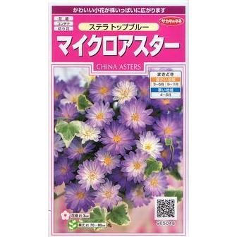 サカタのタネ マイクロアスター ステラトップブルー ファッションなデザイン