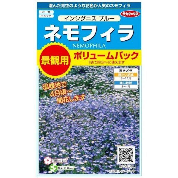 サカタのタネ ネモフィラ インシグニスブルー 景観用ボリュームパック 2g（約3平米分） :ssk1288a9091:日光種苗ヤフー店