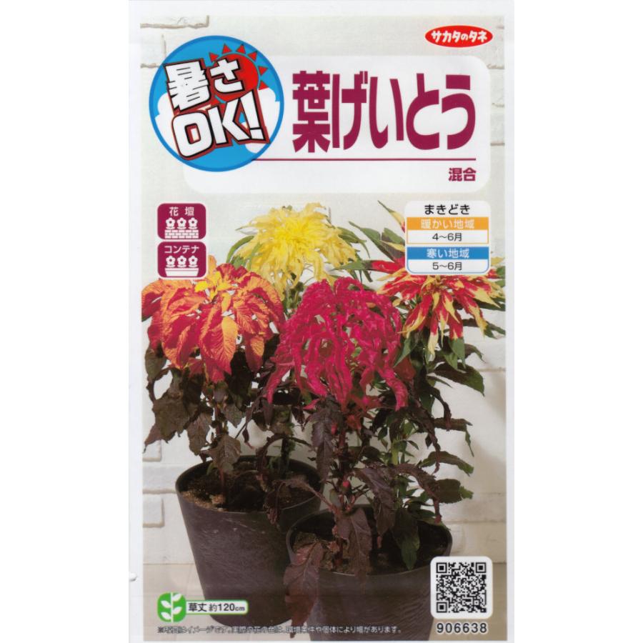 サカタのタネ「葉げいとう混合」のタネ [内容量:0.2ml] : 日光種苗ヤフー店 - 通販 - Yahoo!ショッピング