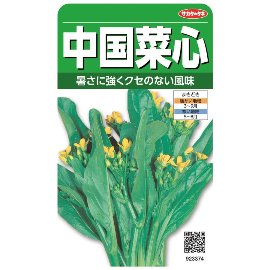 サカタのタネ 中国菜心のタネ(ちゅうごくさいしん)[内容量：9ml] : 日光種苗ヤフー店 - 通販 - Yahoo!ショッピング