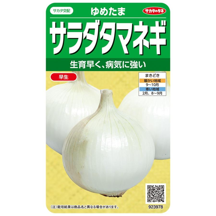 サカタのタネ サラダタマネギ ゆめたまのタネ[内容量：2ml] : 日光種苗ヤフー店 - 通販 - Yahoo!ショッピング