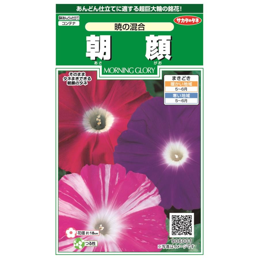 サカタのタネ 朝顔 暁の混合のタネ[内容量：1ml] : 日光種苗ヤフー店 - 通販 - Yahoo!ショッピング