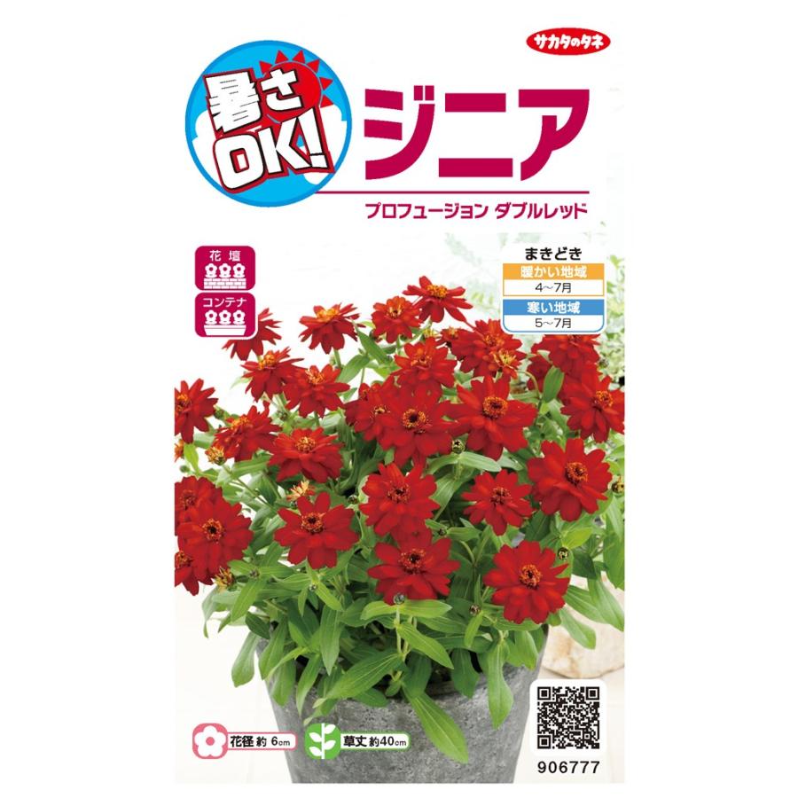 サカタのタネ ジニア (百日草) プロフュージョンダブルレッドのタネ[内容量：0.2ml] : 日光種苗ヤフー店 - 通販 - Yahoo ...