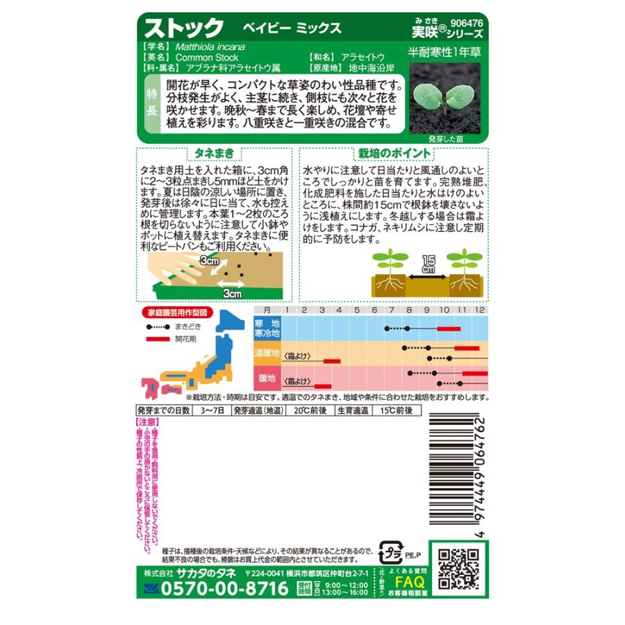 サカタのタネ ストック ベイビー ミックスのタネ[内容量：0.1ml] : 日光種苗ヤフー店 - 通販 - Yahoo!ショッピング