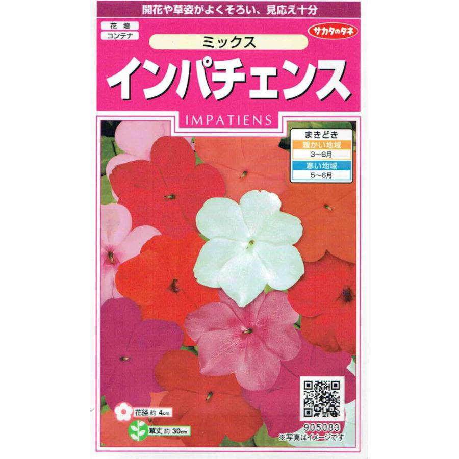 サカタのタネ インパチェンス ミックスのタネ[内容量：約50粒] : 日光種苗ヤフー店 - 通販 - Yahoo!ショッピング