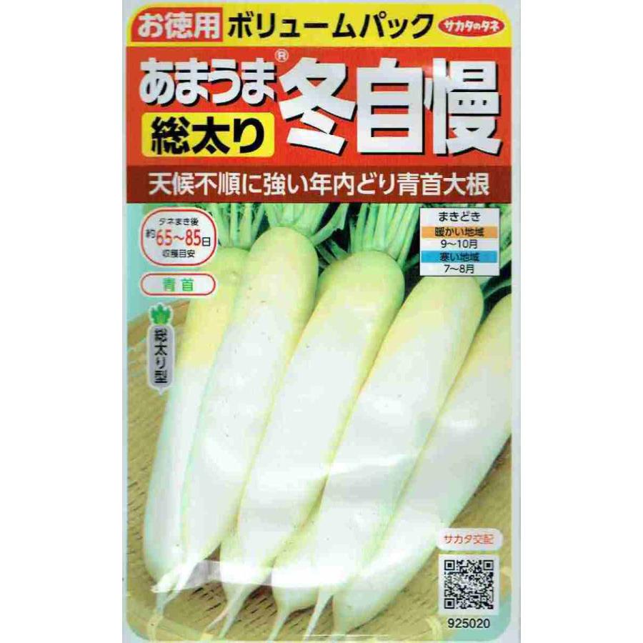 サカタのタネ あまうま総太り大根 冬自慢 お徳用 15ml【郵送対応】 : 日光種苗ヤフー店 - 通販 - Yahoo!ショッピング
