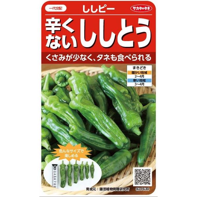 サカタのタネ ししとうピーマン ししピー 約粒 Sskv1004b6301 日光種苗ヤフー店 通販 Yahoo ショッピング