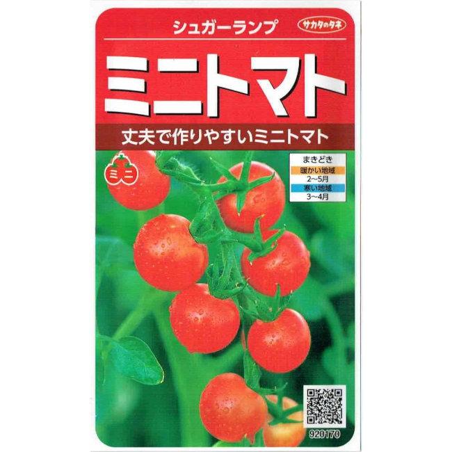 トマト サカタのタネ ミニトマト シュガーランプ 0.7ml【郵送対応】 : 日光