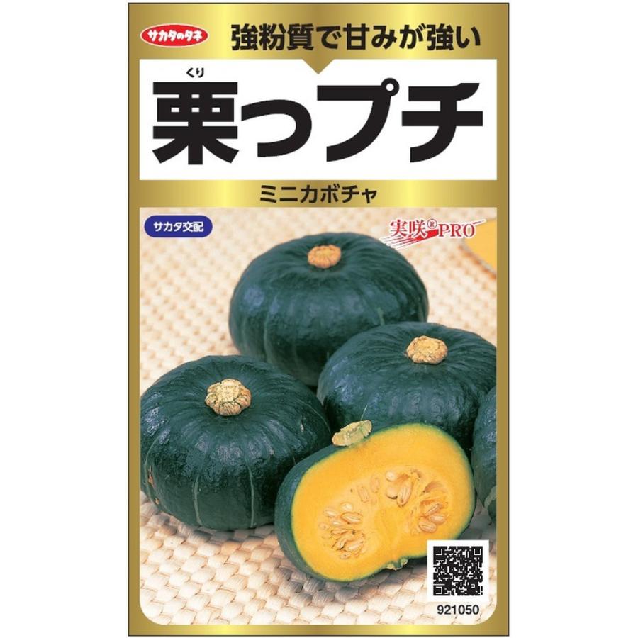 サカタのタネ「実咲PRO ミニカボチャ 栗っプチ」のタネ [内容量:約25粒] : 日光種苗ヤフー店 - 通販 - Yahoo!ショッピング