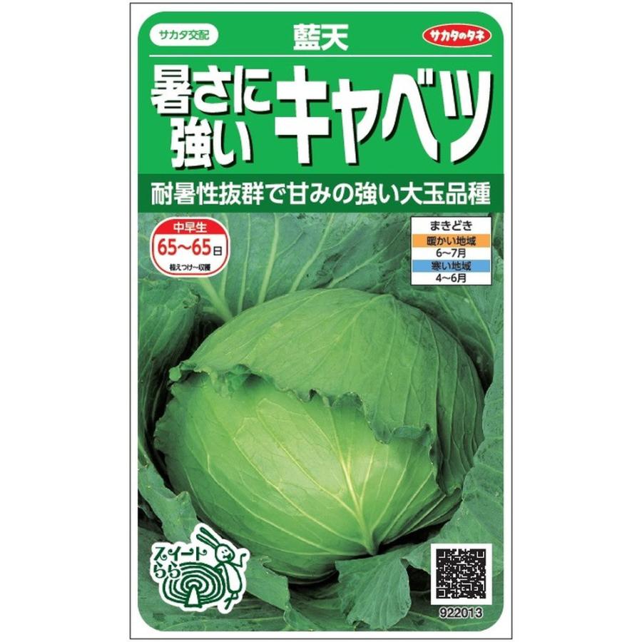 サカタのタネ「暑さに強いキャベツ 藍天」のタネ [内容量:0.8ml] : 日光種苗ヤフー店 - 通販 - Yahoo!ショッピング
