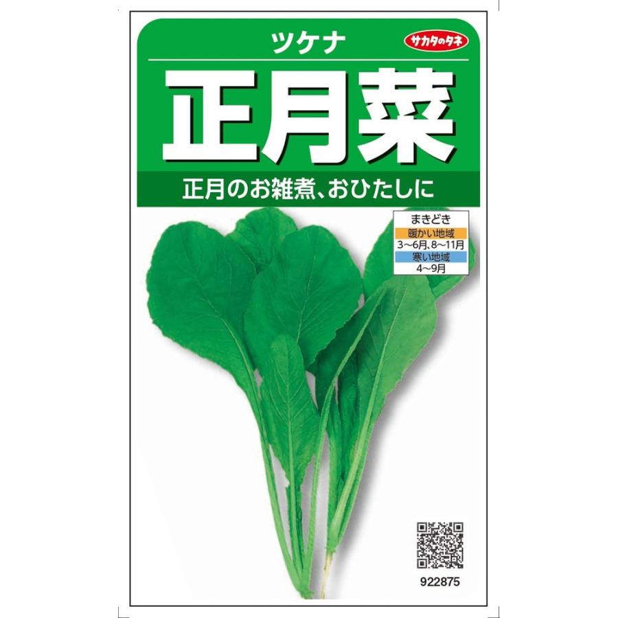 サカタのタネ ツケナ「正月菜」のタネ 10ml : 日光種苗ヤフー店 - 通販 - Yahoo!ショッピング
