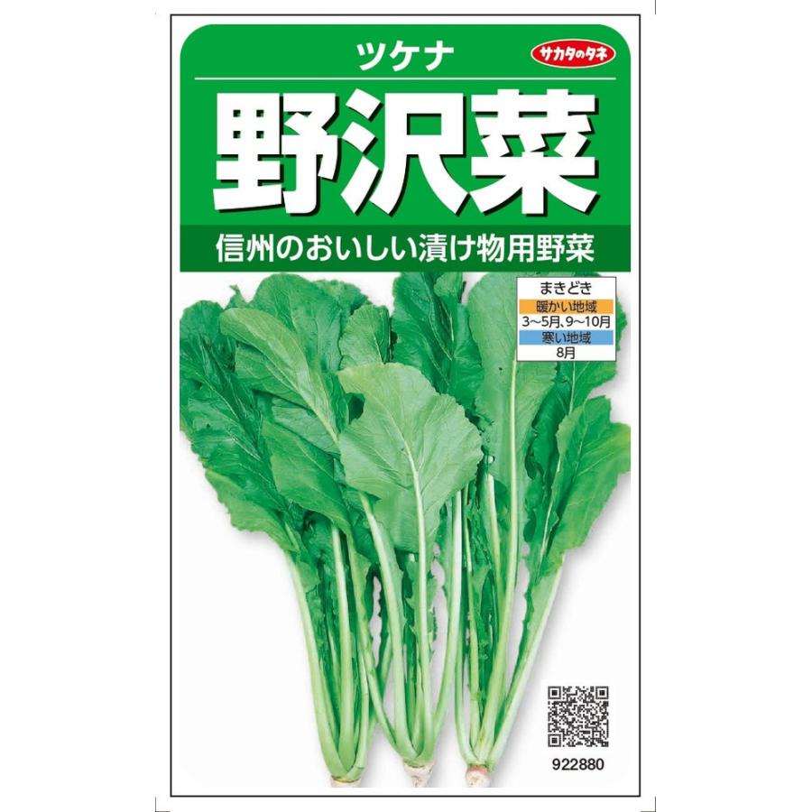 サカタのタネ ツケナ「野沢菜」のタネ 10ml : 日光種苗ヤフー店 - 通販 - Yahoo!ショッピング