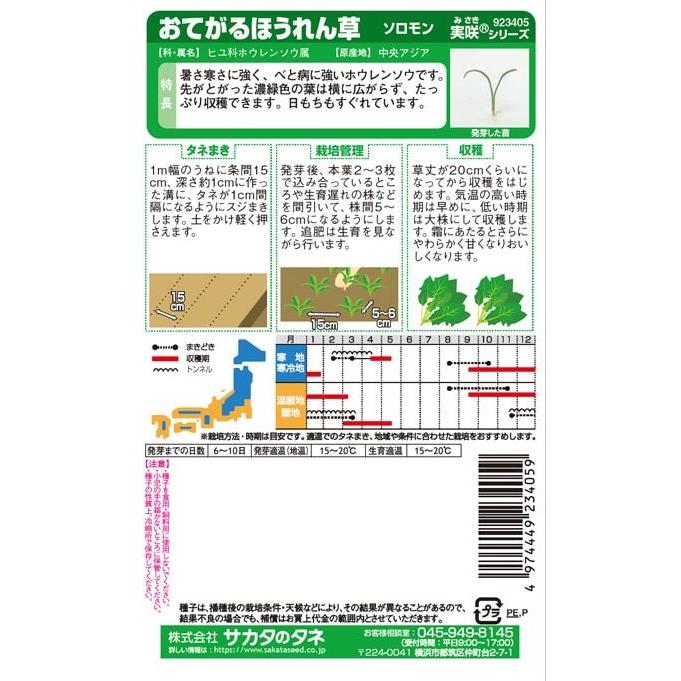 サカタのタネ ほうれんそう ソロモンホウレンソウ 25ml【郵送対応】｜nikkoseed2012｜02