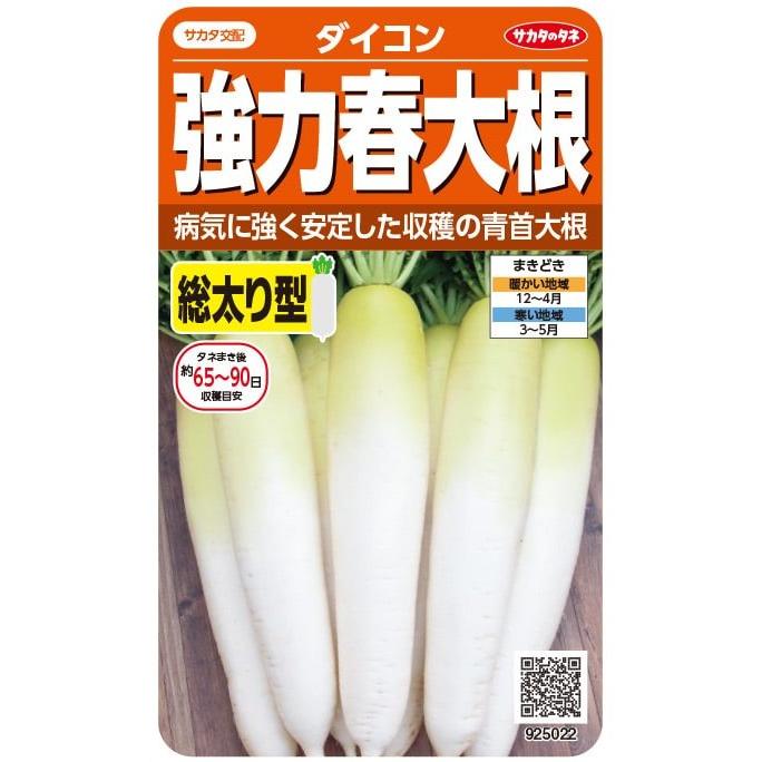 サカタのタネ「ダイコン 強力春大根」のタネ [内容量:4ml] : 日光種苗ヤフー店 - 通販 - Yahoo!ショッピング