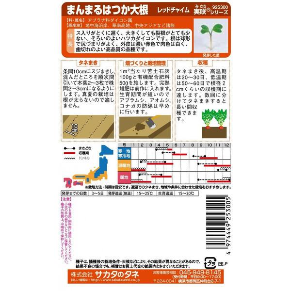 買い誠実 サカタのタネ まんまるはつか大根 レッドチャイム 7ml globescoffers.com 買い誠実 サカタのタネ まんまるはつか大根 レッドチャイム 7ml globescoffers.com