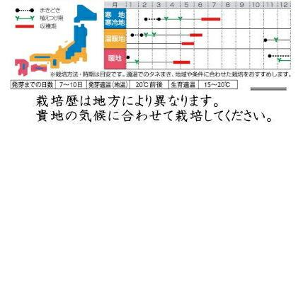 サカタのタネ ソラマメ 秋春そらまめ 駒栄 28ml 郵送対応 品種名 駒栄 種 種子
