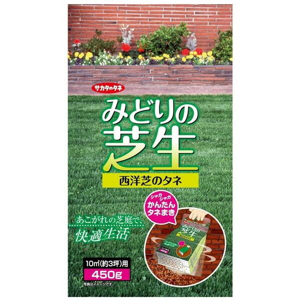 サカタのタネ みどりの芝生 450g入 Sskx1036 日光種苗ヤフー店 通販 Yahoo ショッピング