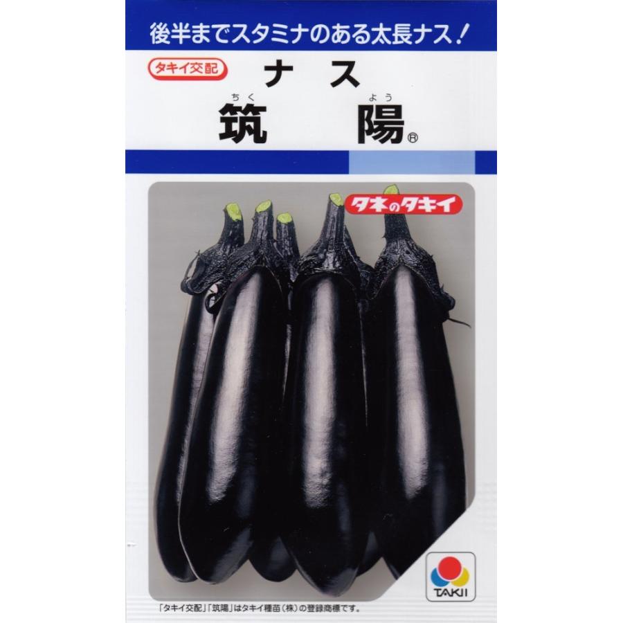 タキイ種苗「ナス 筑陽」のタネ [内容量:約27粒] : 日光種苗ヤフー店