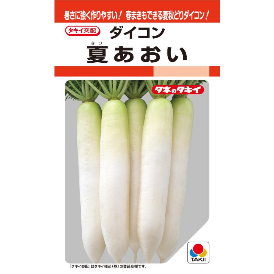 タキイ種苗「ダイコン 夏あおい大根」のタネ [内容量:3.5ml] : 日光種苗ヤフー店 - 通販 - Yahoo!ショッピング