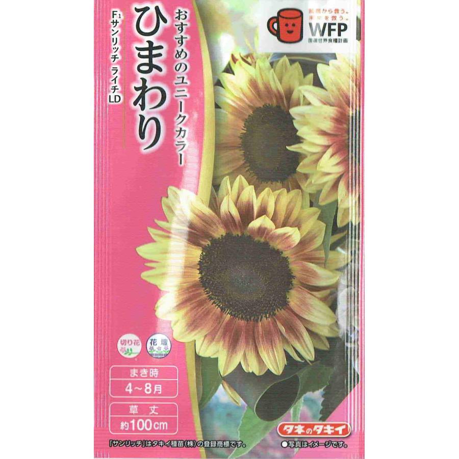 タキイ種苗 ひまわり サンリッチライチLDのタネ[内容量：3ml] : 日光