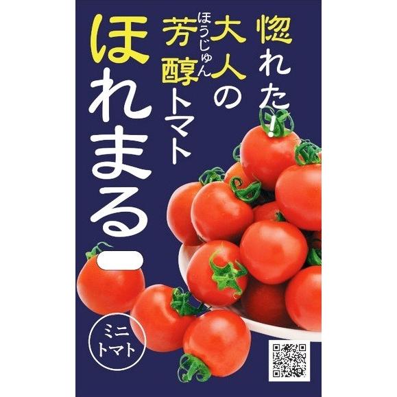 渡辺農事 【SALE／87%OFF】 ミニトマト 大割引 約15粒 ほれまる