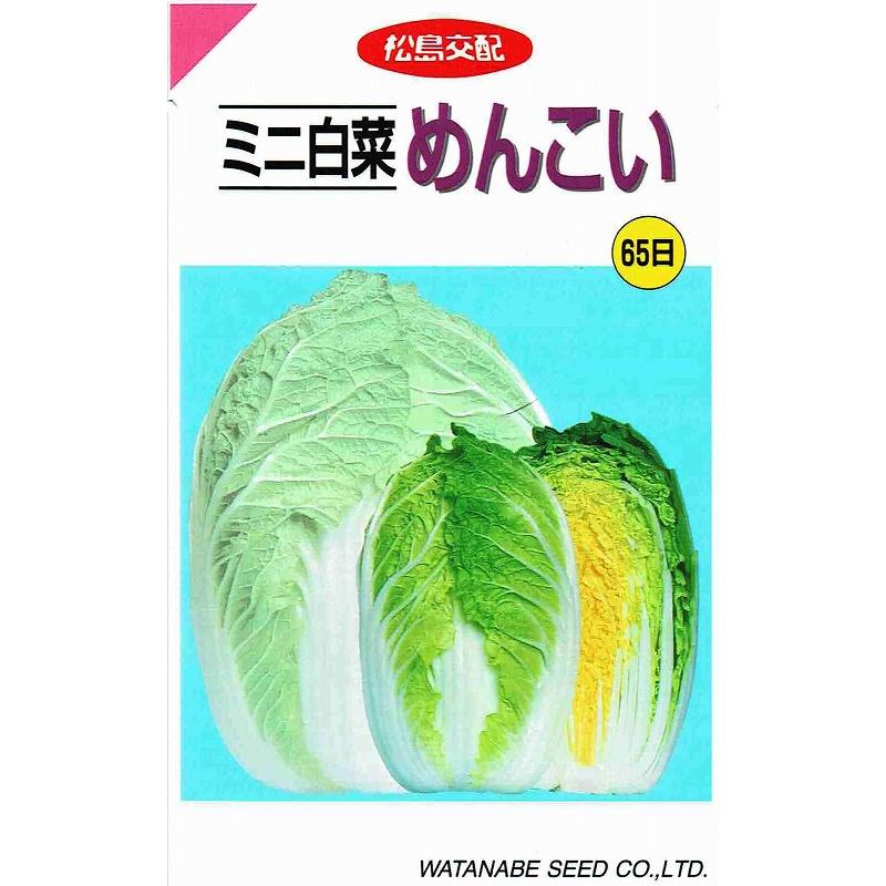 未使用 松島交配 ハクサイ ミニ白菜 めんこい 1 3ml