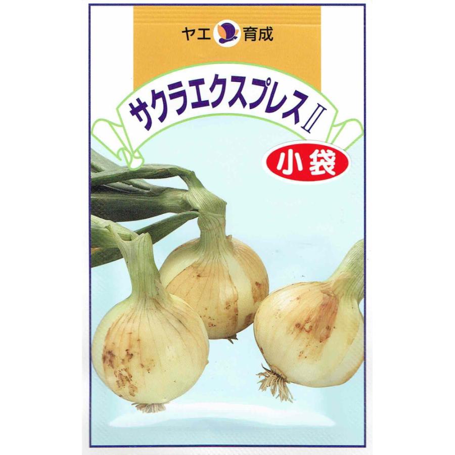 八江農芸 タマネギ サクラエクスプレス2 [内容量：6ml] : 日光種苗